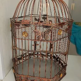 клетка