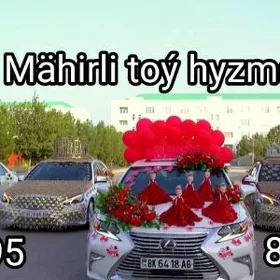 Toý bezegleri
