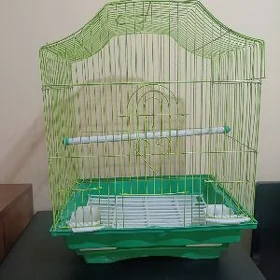 Клетка