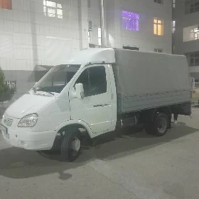 gazel