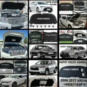 KAPOT KEÇELERI ZAWOTSKOY