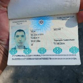 pasport tapyldy