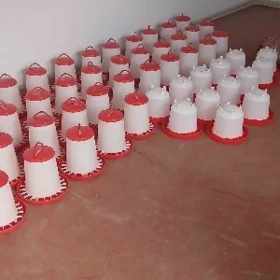 Towuk jüje ördek induk gus bed