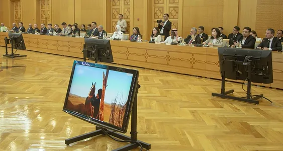 В Нидерландах пройдет конкурс красоты ахалтекинских лошадей и турнир по конному спорту