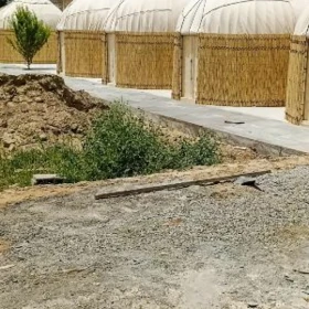 Gara Ak Öÿ Gamyş Gotaz Tüÿnük