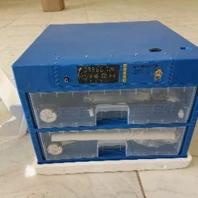 Inkubator🐣