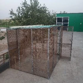 Tovuk ketek