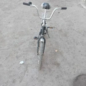 kama tigir