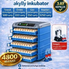 inkubator