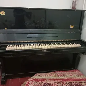 pionino