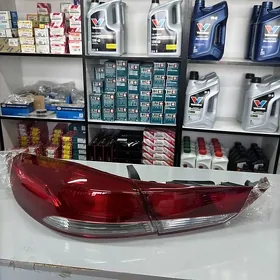 elantra stopnik