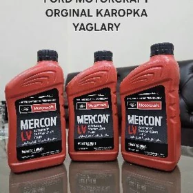 FORD KAROPKA YAGLARY