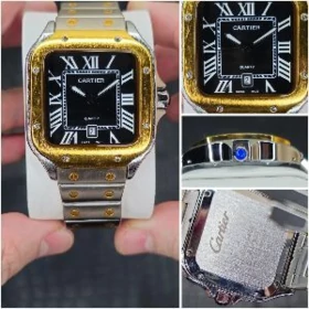 sagat cartier santos