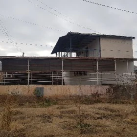 dacha