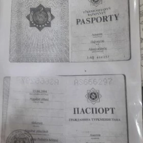 pasport prawa yitdi