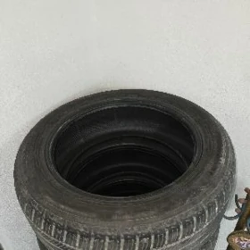 215 55 r17