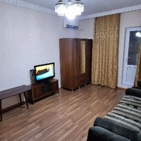 Мир 3/1  1 комнатная квартира