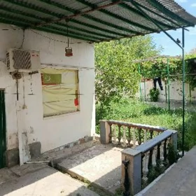 Ак алтын 5сотки