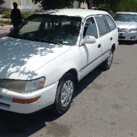 Toyota Corolla 1995