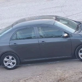 Toyota Corolla 2010