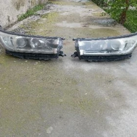 Haylander fara 2019