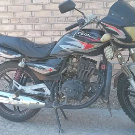 Fekon FK150-8G 2014
