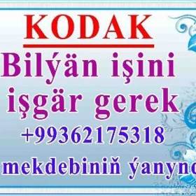 IŞGÄR KODAKA