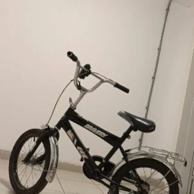 Tigir
