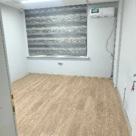 Atelýa işgär gerek boş yer bar