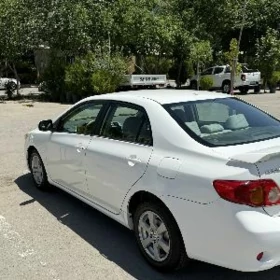 Toyota Corolla 2010