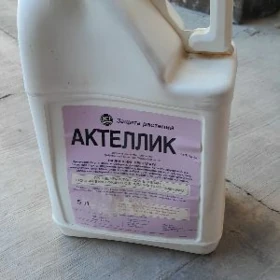 weterinar dermany