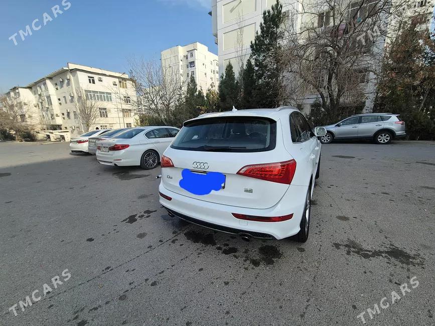 Audi Q5 2010