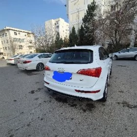 Audi Q5 2010