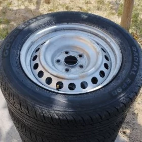 pakryska 25yyl