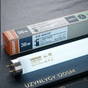 eltmek mugt tinko çyra lampa