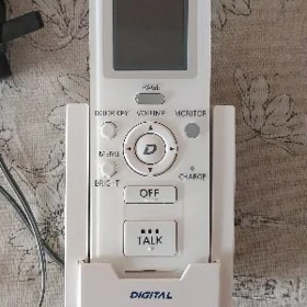 Panasonic