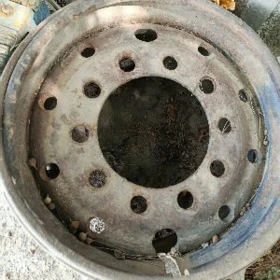 Ural stupida