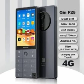 Xiaomi Qin