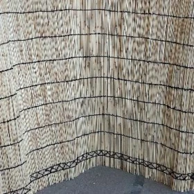 gamyş