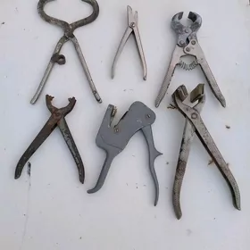 ökūz.sygyr.goýun gaýçysy