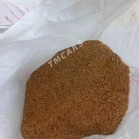 Protoin Towuk Bedene jüÿje