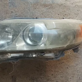 okuz kelle çep tarap farasy