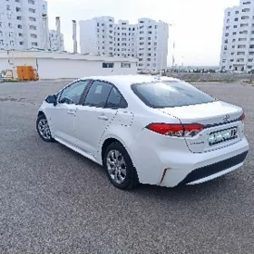 Toyota Corolla 2022