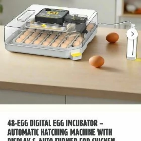 inkubator Woneg orginal 48 lik