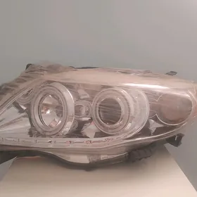 korolla fara