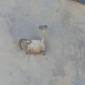 Ätiÿaçlyk şaylar