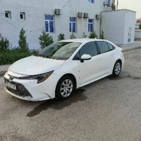 Toyota Corolla 2019
