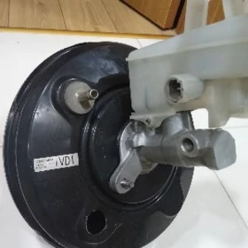 wakum silindyr okuz kelle palta aziyada