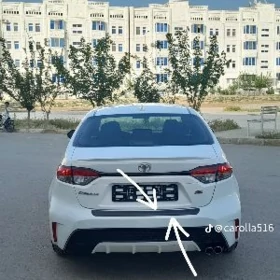 Karolla yzky plasmasy tazeje