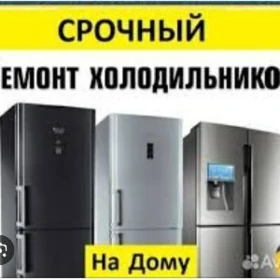 холодильник ремонт любых видов